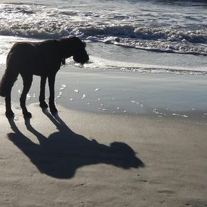 Meet your Posher, Cynthia